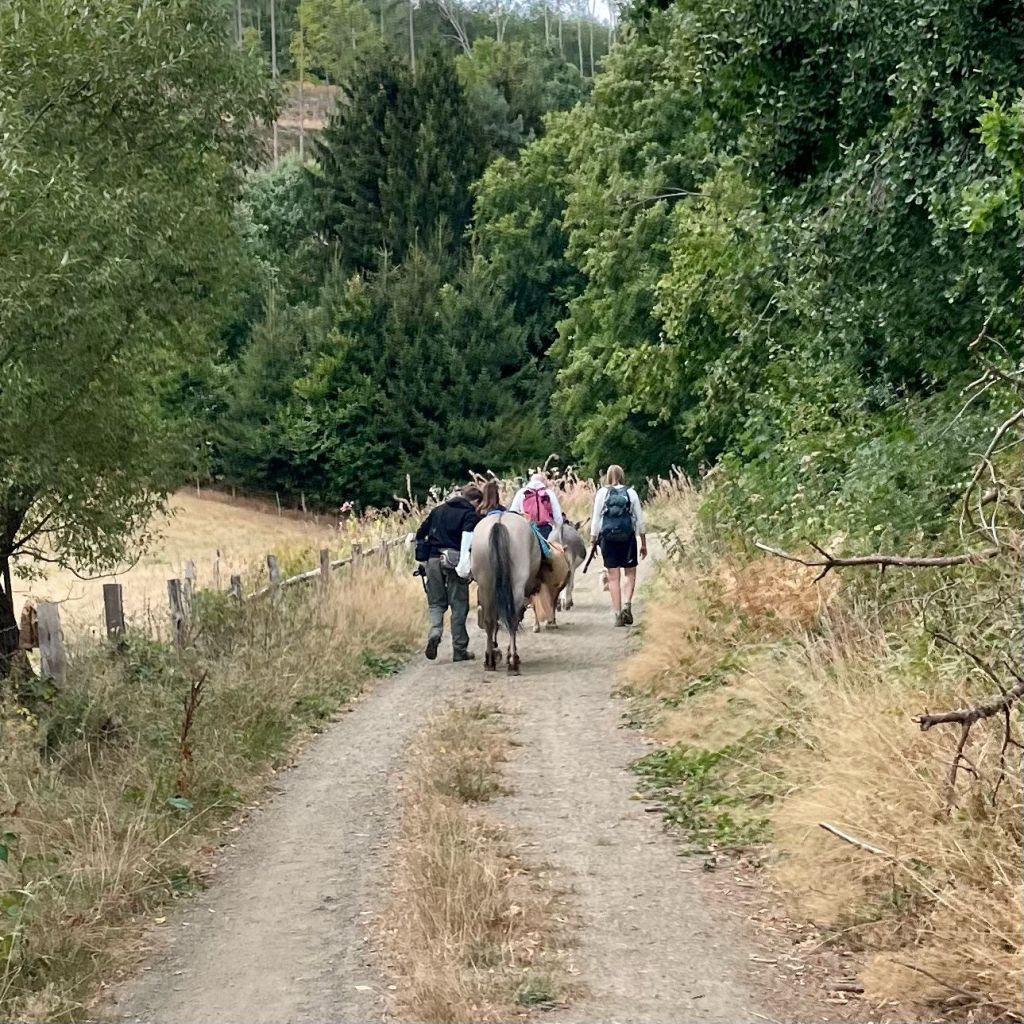 Tierisch gut kommunizieren
-hilfreiche Kommunikation gestalten-